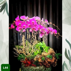 L44 Thiết kế Cao Cấp
