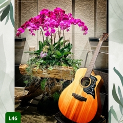 L46 Thiết kế Cao Cấp