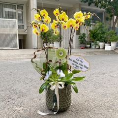 L60 Thiết kế Sang Trọng