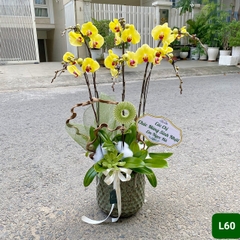 L60 Thiết kế Sang Trọng
