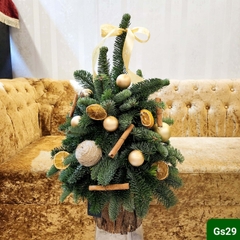 GS29