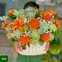 S24