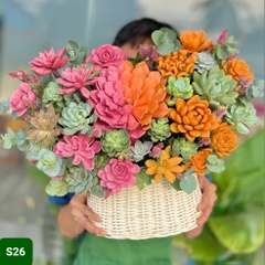 S26