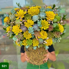 S21
