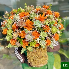S22