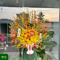 T11