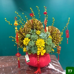 T7