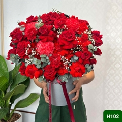 H102