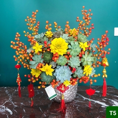 T5