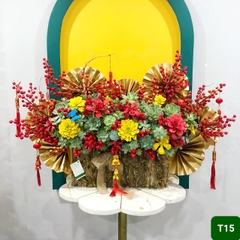 T15  Size lớn