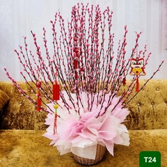 T24 Size Trung
