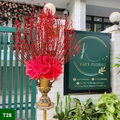 T28 Size Lớn