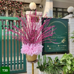 T30  Size Lớn