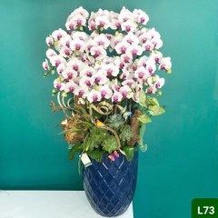 L73