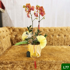 L77