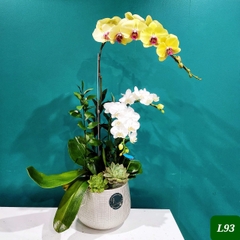 L93