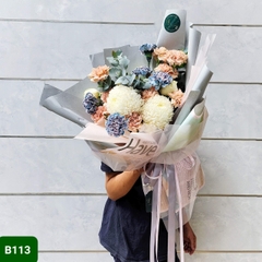 B113