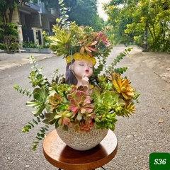 S36