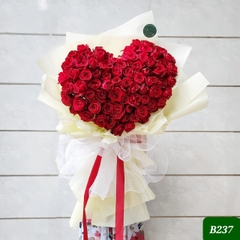 B237