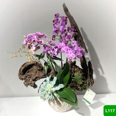 L117
