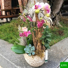 L111