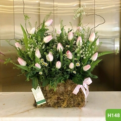 H148