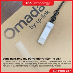 Cáp Kết Nối Trực Tiếp TP-Link Omada TL-SM5220-1M (10G SFP+ Direct Attach Cable 1Meters)