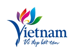 Top Du lịch Việt Nam