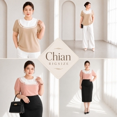 Áo kiểu bigsize nữ 60kg - 100kg viền ren phù hợp mặc đi làm, đi học, đi chơi
