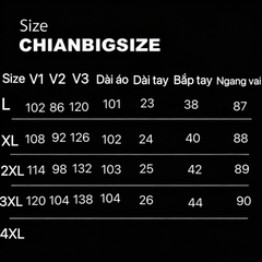CA030018-Đầm công sở bigsize nữ 60kg - 100kg phối cổ có nắp túi phù hợp mặc đi làm, đi tiệc, đi chơi