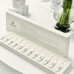 STOQUIREN AMPOULE - 5mlx12ea