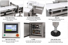 Máy kiểm tra trọng lượng tự động BLUEZEIZ CQ-XP210 checkweigher 1-1000g