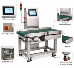 Máy kiểm tra trọng lượng tự động BLUEZEIZ CQ-XP600 checkweigher đến 60kg
