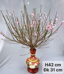 CÁC MẪU BÌNH CẮM ĐÀO