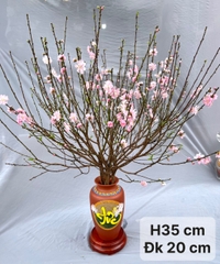 CÁC MẪU BÌNH CẮM ĐÀO