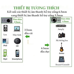 Đầu Chuyển Đổi  6.5mm Sang 3.5 mm