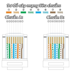 Combo 100 Hạt mạng RJ45 Cat6 Ugreen 60558 NW 120 100 chiếc chân đồng nhựa trong suốt