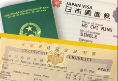 COE NHẬT BẢN LÀ GÌ?