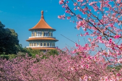 DU HỌC ĐÀI LOAN HỆ 1+4