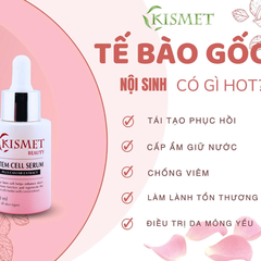 Tế bào gốc nội sinh Kismet Stem Cell Serum 10ml set 5 lọ