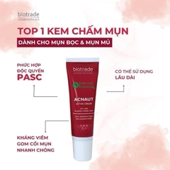 Kem chấm mụn Biotrade Acnaut Active Cream 15ml