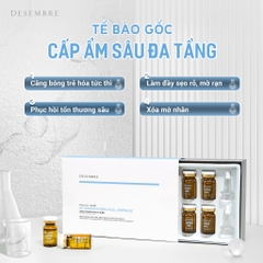 Tế bào gốc cấp ẩm căng bóng H+ Desembre