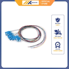 Bộ 12 Dây hàn quang Single SC- UPC