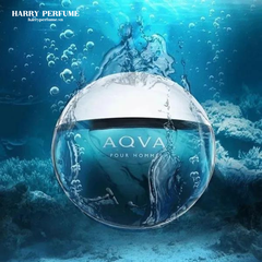 BVL - AQVA Pour Homme EDT