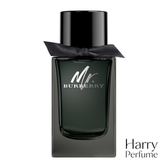 Burberry - Mr. Burberry EDP