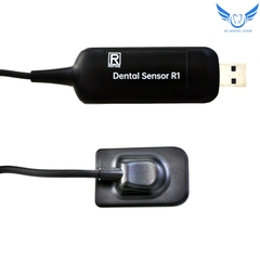 SENSOR R1