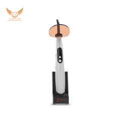 ĐÈN QUANG TRÙNG HỢP LED B