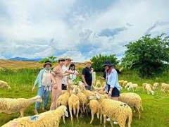 TOUR VỊNH VĨNH HY 1N