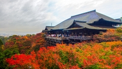 TOUR DU LỊCH HÀ NỘI – OSAKA – KYOTO – NAGOYA – PHÚ SĨ – TOKYO 6 NGÀY 5 ĐÊM