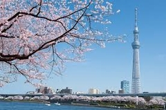 TOUR HCM - TOKYO - NÚI PHÚ SĨ - LÀNG CỔ SHIRAKAWAGA - NAGOYA - HCM